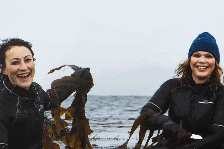 Wild, Not Trawled: Why How We Harvest Seaweed Matters