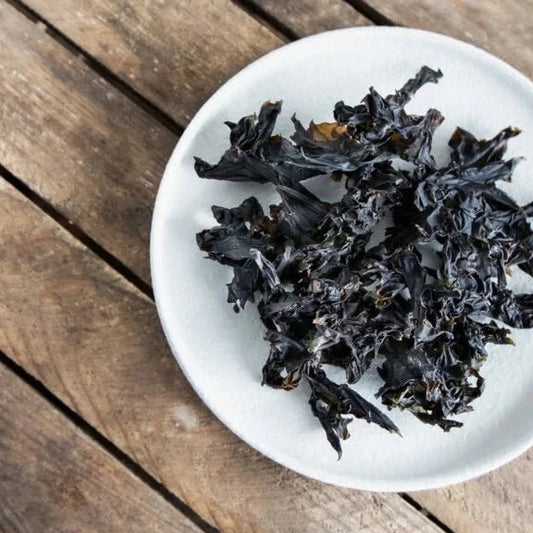 Nori - Lofoten Seaweed