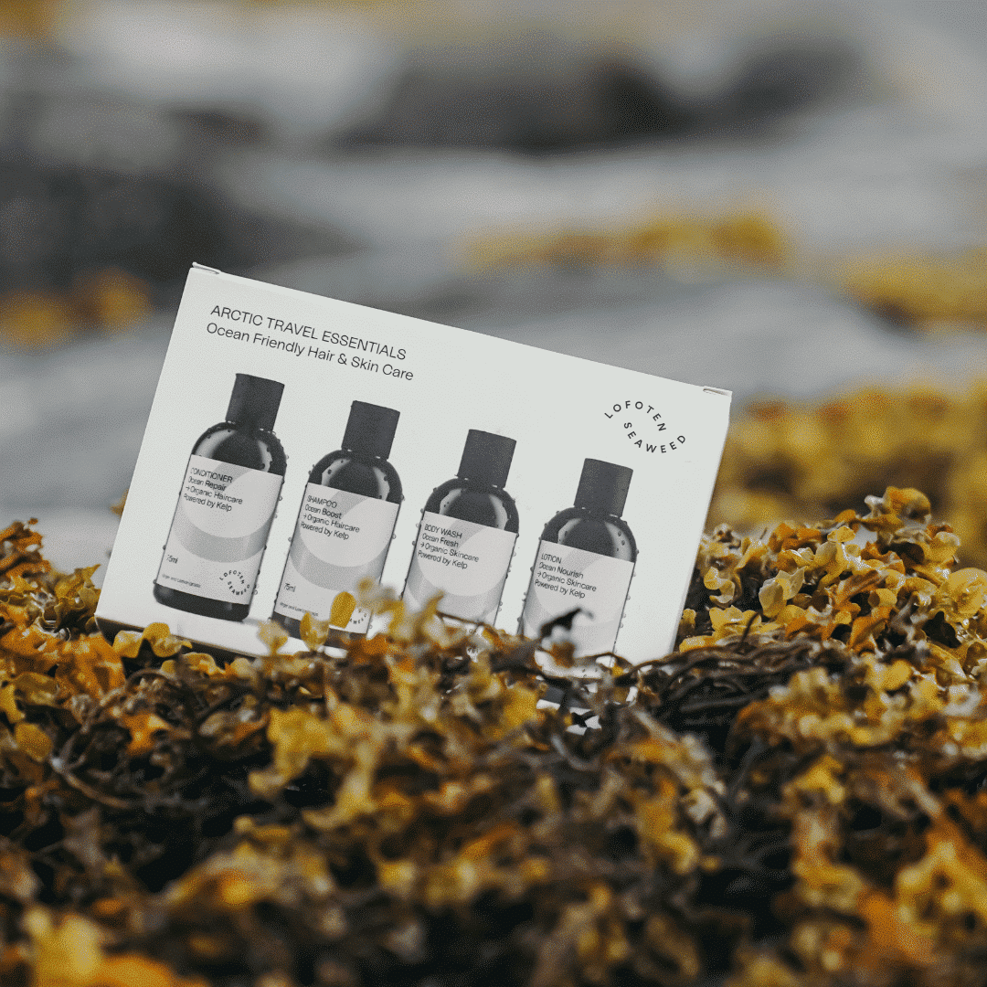 Arctic Travel Essentials - Lofoten Seaweed