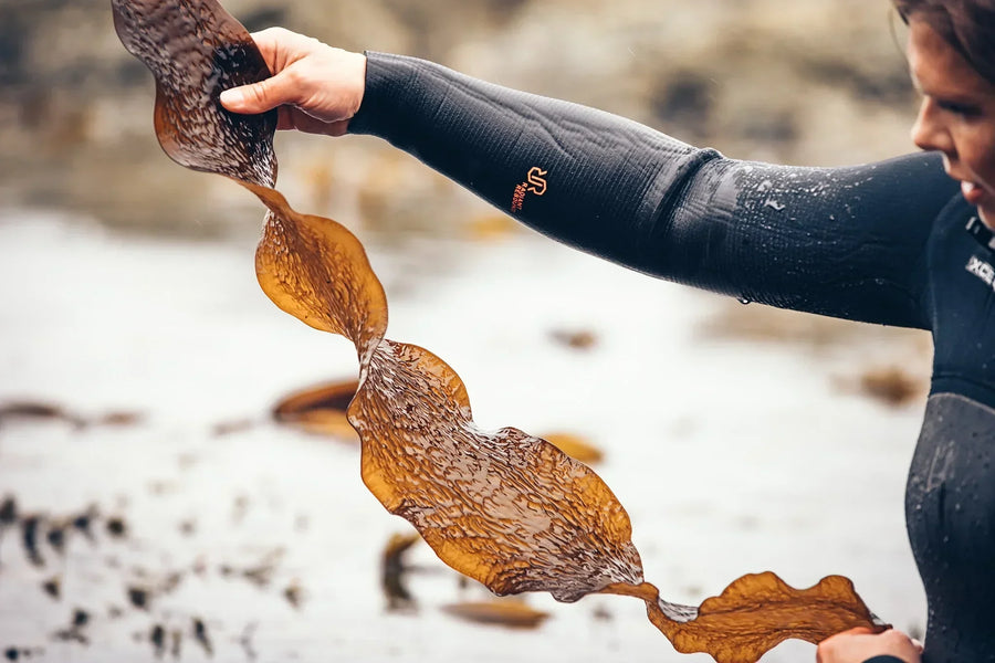 Can You Eat Seaweed Every Day?