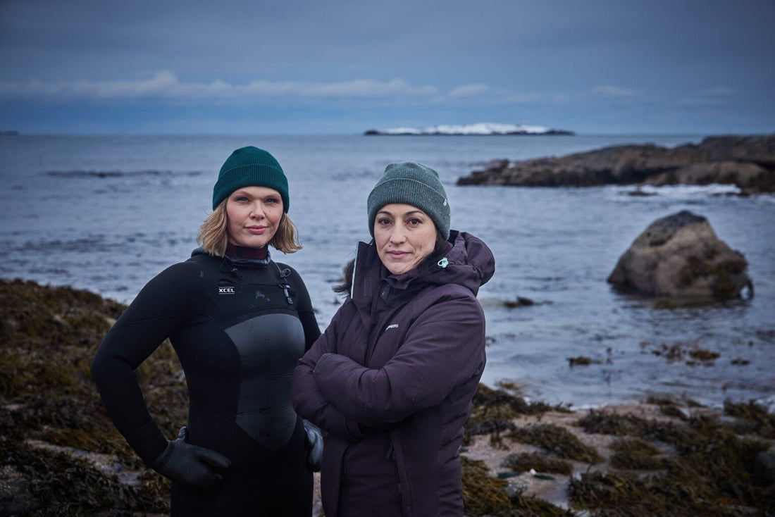 What Can I Do To Fight Climate Change? - Lofoten Seaweed