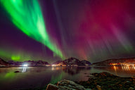 Why Aurora (Northern Lights) Activity Is Particularly High in 2026 in Lofoten - Lofoten Seaweed