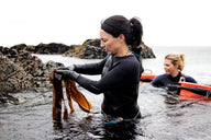 What are the Iodine benefits of eating Seaweed? - Lofoten Seaweed