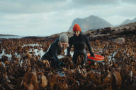 Regenerative Tourism in Lofoten - Lofoten Seaweed
