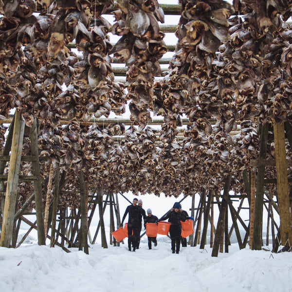 Lofoten Traditions