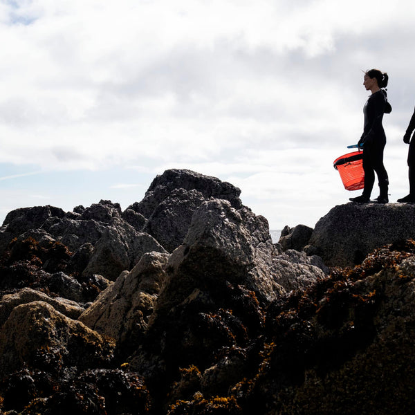 The fascinating history of women and seaweed