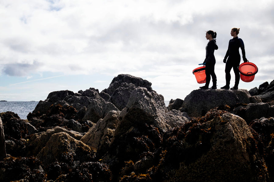 The fascinating history of women and seaweed