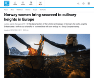 Extra extra! Lofoten Seaweed makes global news! - Lofoten Seaweed