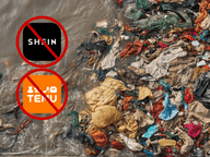 The Real Cost of Shopping with Temu and Shein: Unwrapping the Ugly Truth Behind the Low Prices - Lofoten Seaweed