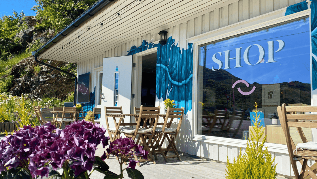 Shopping in Lofoten: 10 of the Best Spots - Lofoten Seaweed
