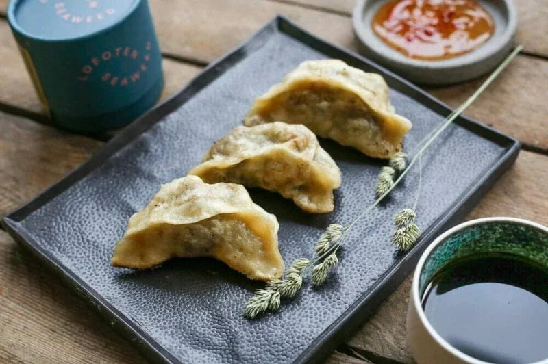 Seaweed Gyoza - Lofoten Seaweed