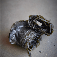 What Is The White Stuff On Seaweed? - Lofoten Seaweed