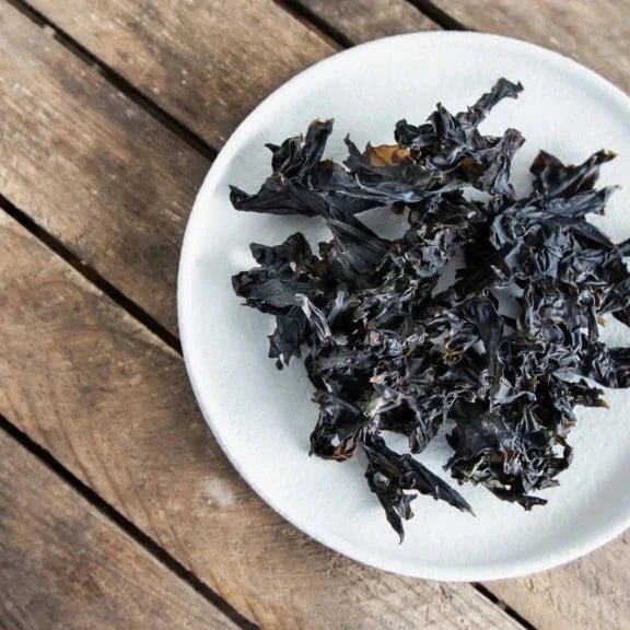 Nori - Lofoten Seaweed