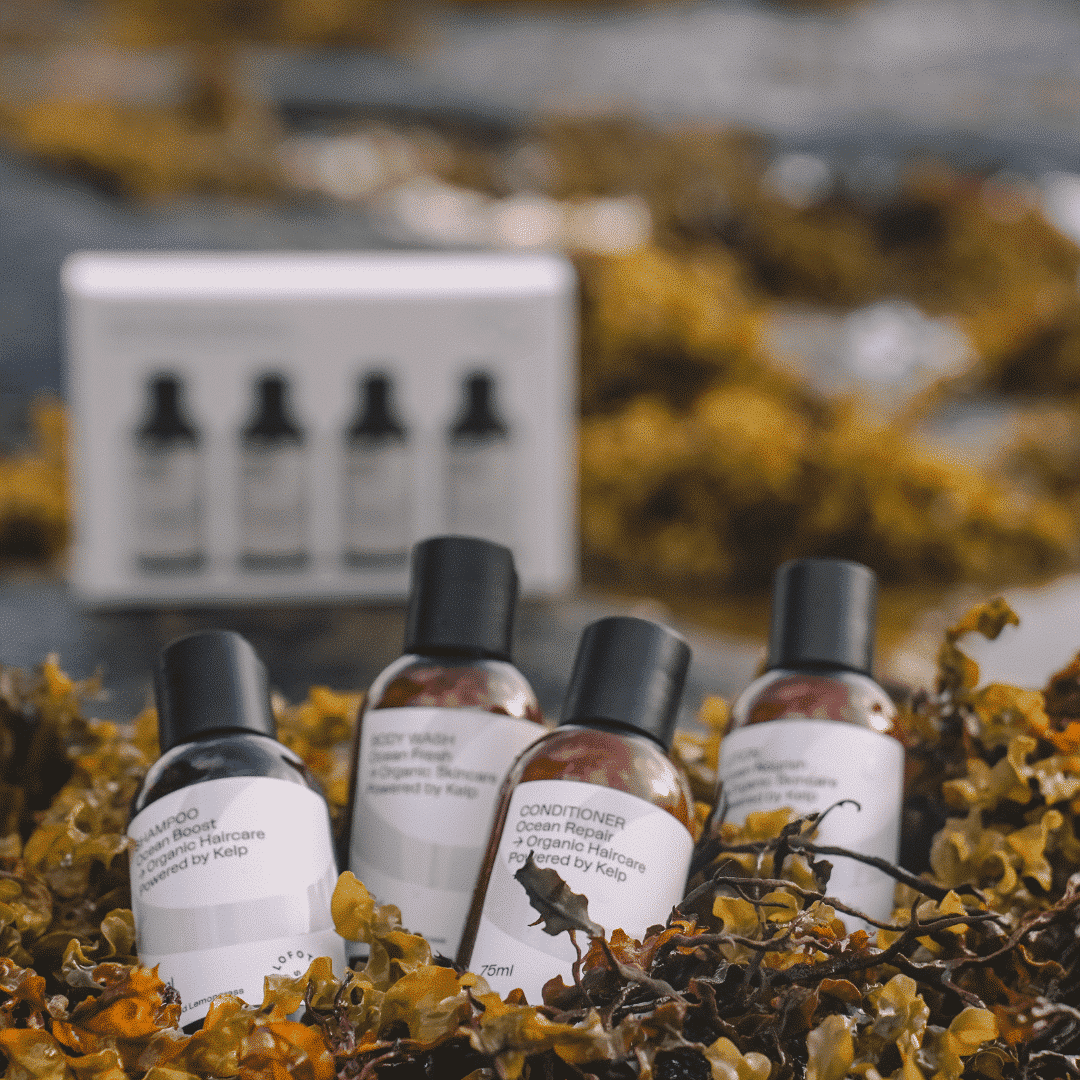 Arctic Travel Essentials - Lofoten Seaweed
