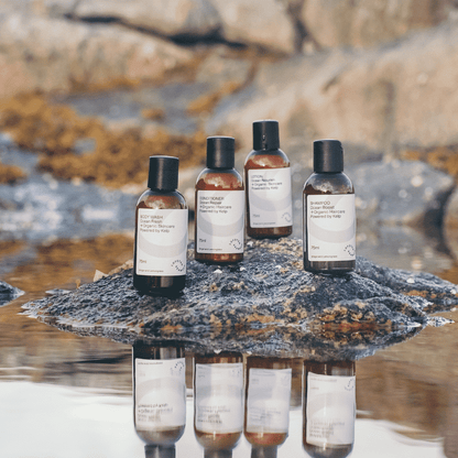 Arctic Travel Essentials - Lofoten Seaweed